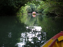 Dominica Indian River9